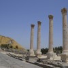 שורת העמודים ברחוב פלאדיוס בתל בית שאן