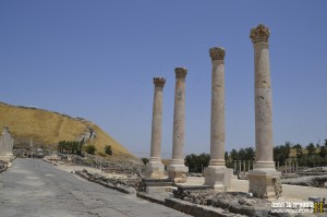 שורת העמודים ברחוב פלאדיוס בתל בית שאן