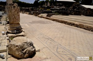 רצפת הפסיפס בסטיו שליד הסיגמה בתל בית שאן