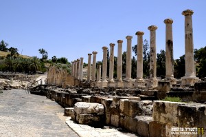 שורת העמודים ברחוב סילוואניוס