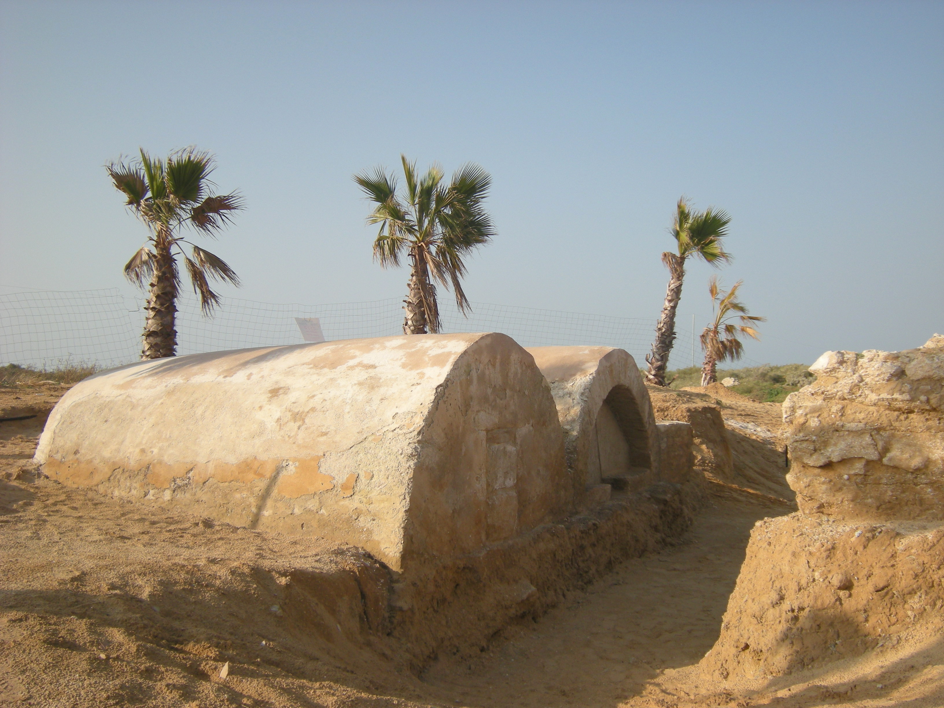 אחוזות הקבר שנחשפו באשדוד - צילום: סער גנור, באדיבות רשות העתיקות