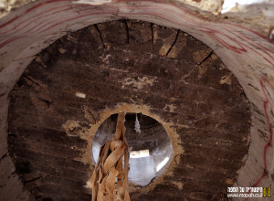 רצפת הקומה השניה במגדל הליצן - צילום: אפי אליאן