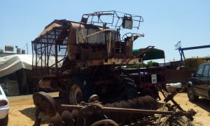 קטפת כותנה בכניסה למוזיאון הטרקטורים - צילום: אפי אליאן