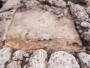 פסיפס אשכול הענבים שנחשף באתר הארכיאולוגי - צילום: אסף פרץ