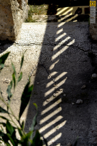 רצפת הפסיפס במבואה בבית המרחץ - צילום: אפי אליאן