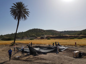 בחפירה לקחו חלק חניכי המכינות הקדם צבאיות פארן וחינתון. צילום: מיכל הבר