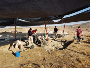 חושפים את המבנה. צילום: מיכל הבר