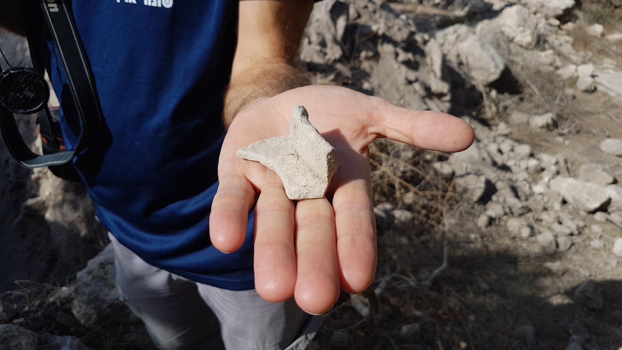 תמונות של ההרס. צילום: היחידה למניעת שוד ברשות העתיקות