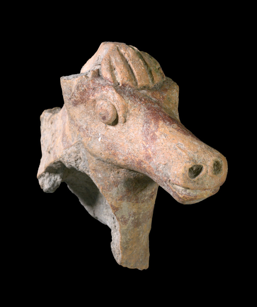 סוס מתקופת ממלכת ישראל שנמצא באזור בית שאן. צילום: קלרה עמית