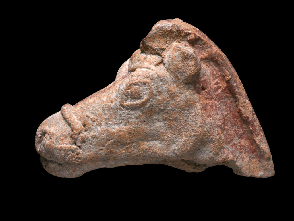 צלמית סוס מהתקופה ההלניסטית שנמצאה בתל עכו. צילום: קלרה עמית