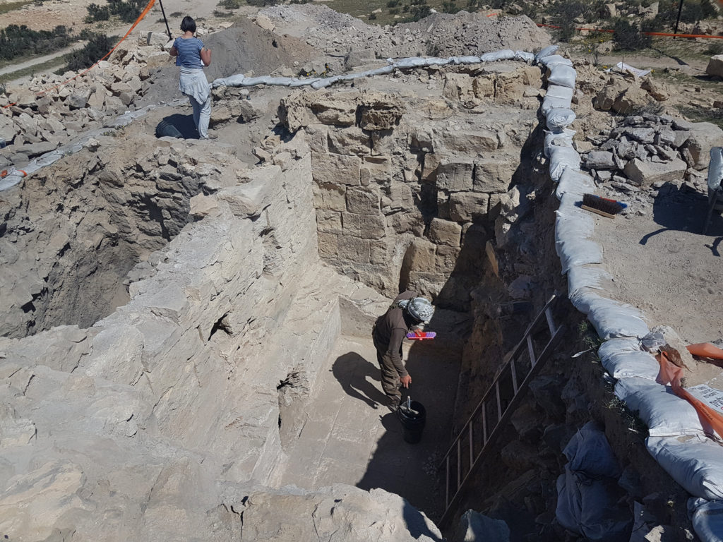 סטודנטים מאונ' קלן עובדים בחדר הסקה של בית המרחץ שנחשף בחלוצה בחודש האחרון. צילום: טלי גיני