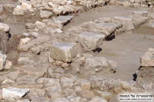 בסיסי עמודי שיש ב"מקדש" בעין אסור