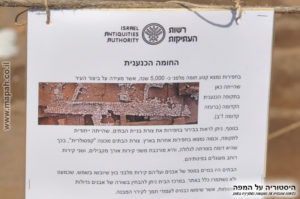 דף מידע החומה הכנענית עין אסור