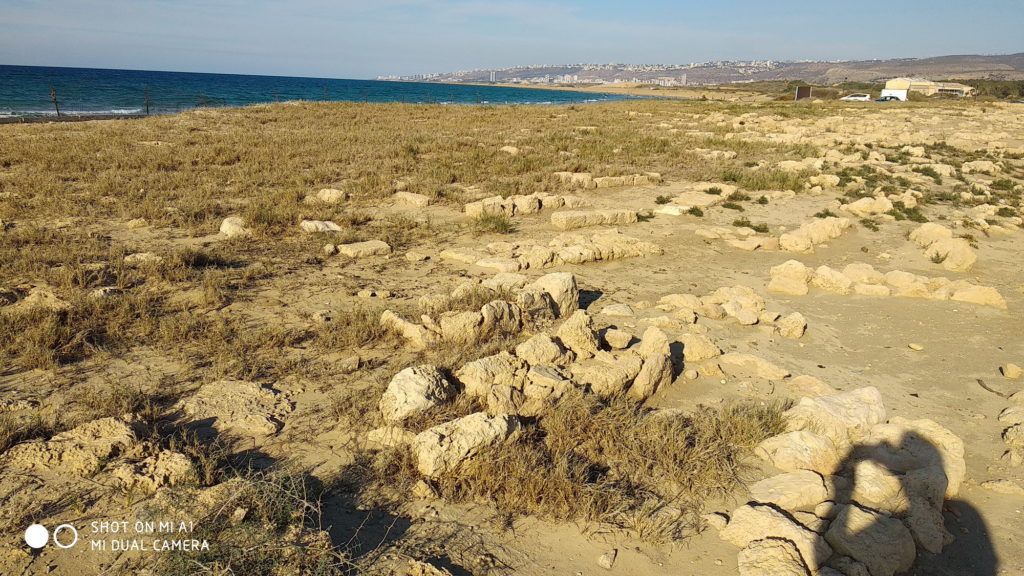 חלק משטח בית הקברות הצלבני בעתלית - צילום: אפי אליאן