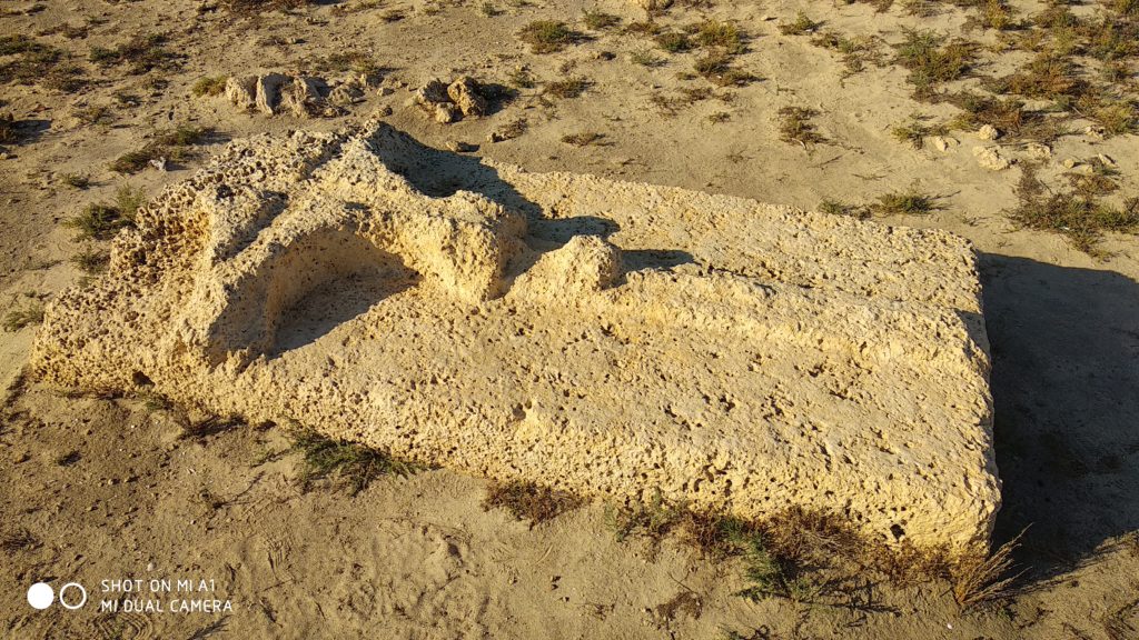 קבר צלבני מעוטר בבית הקברות הצלבני עתלית - צילום: אפי אליאן