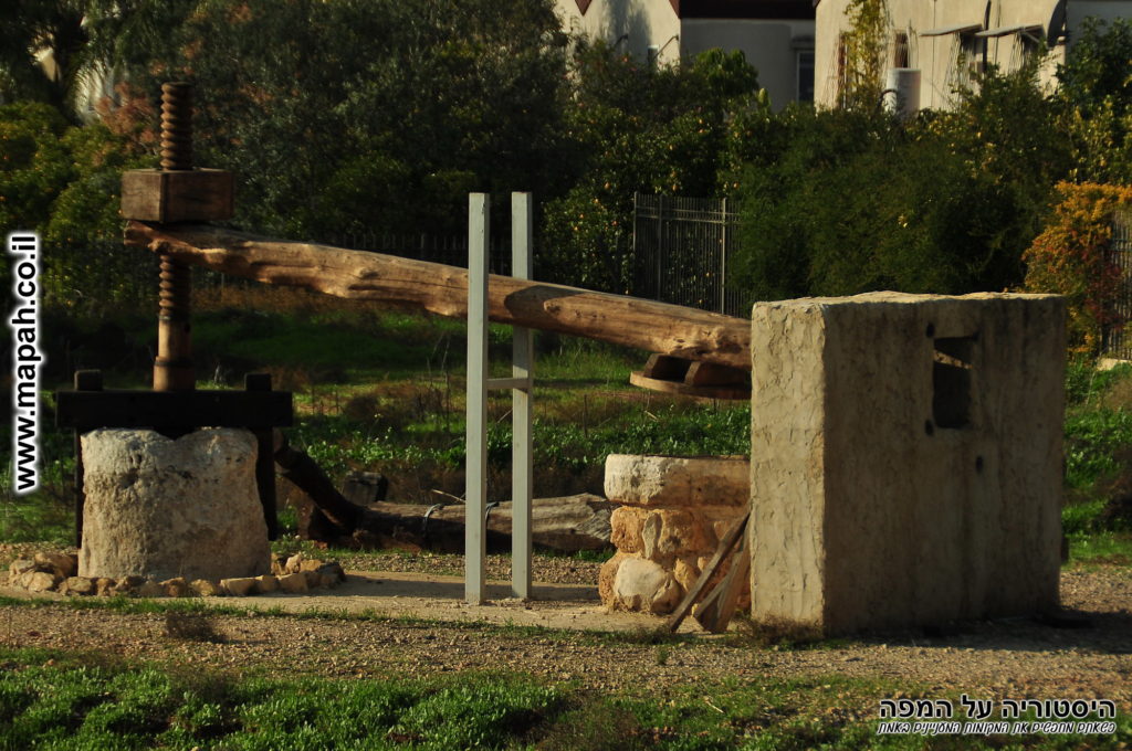 מכבש לייצור שמן זית בתל כפר סבא הקדומה - צילום: אפי אליאן