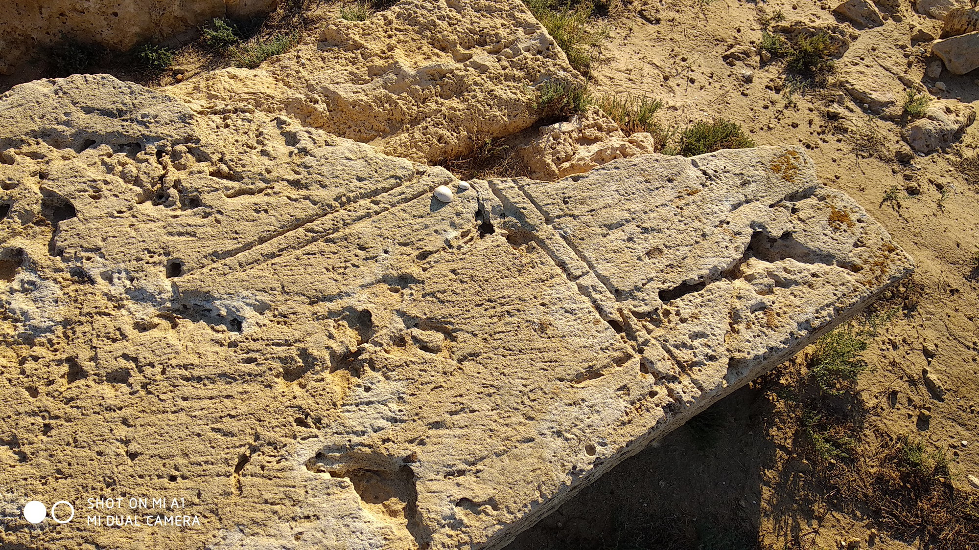 צלב או פטיש וזווית בנאים? - בית הקברות הצלבני - צילום: אפי אליאן