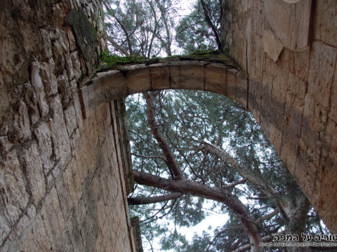 ביקור בארמון הקיץ של האמיר מחמוד פע'ור מכפר וואסט קשת רחבה בראש ארמון האמיר - צילום: אפי אליאן