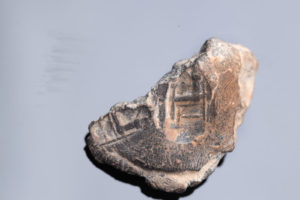 טביעת חותם שעליה הטביעה מופיעה דמות של אדם היושב על כיסא גדול (ככל הנראה מלך). צילום: אליהו ינאי