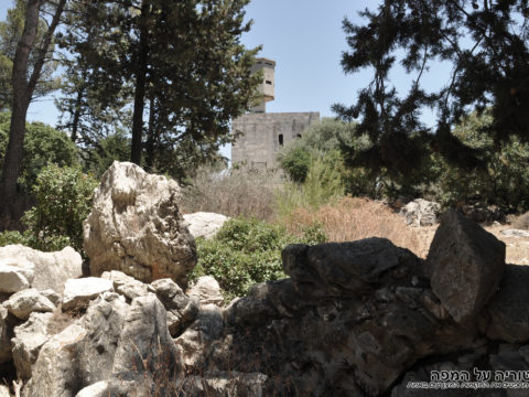 מיצדית גדר הצפון משטרת שפר / פראדיה - צילום: אפי אליאן