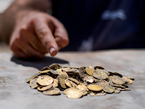 מטמון של מאות מטבעות זהב טהור התגלו בחפירה ארכיאולוגית במרכז הארץ תמונות המטמון כפי שנמצא בשטח. צילום: יולי שוורץ,