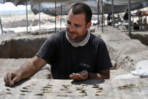 שחר קריספין, מומחה מטבעות ברשות העתיקות, סופר את מטבעות הזהב שנחשפו. צילום: יולי שוורץ