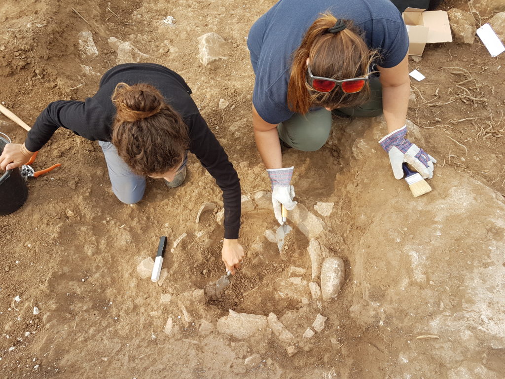 החפירה בגלאון בהשתתפות עשרות בני נוער ומתנדבים.צילום סער גנור