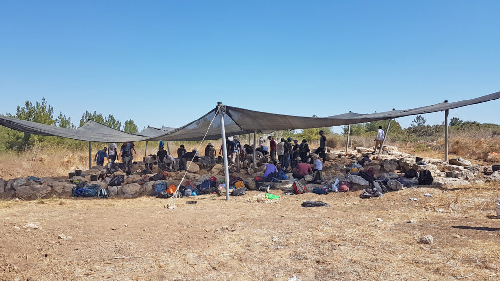 החפירה בגלאון בהשתתפות עשרות בני נוער ומתנדבים - צילום: סער גנור