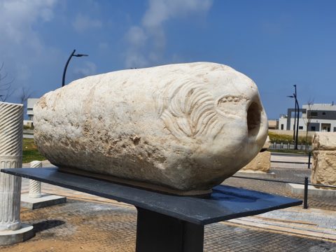 התצוגה- סטילס אווירי. צילום ולדיק ליפשיץ