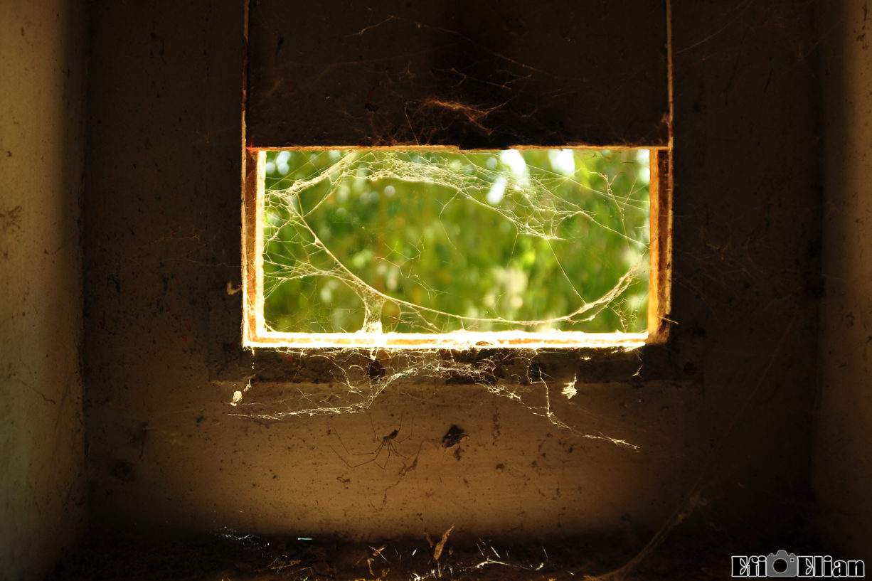 סיפורה של משטרת בית גוברין (בית ג'ברין) – "ממלחמת העצמאות ועד 2020.." פרויקט טיגארט אחד מחרכי הירי שהסכים להיפתח - משטרת בית גוברין - צילום: אפי אליאן