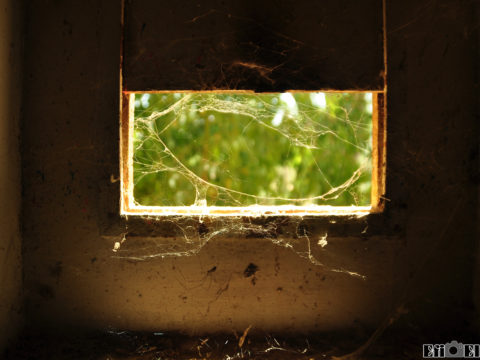 אחד מחרכי הירי שהסכים להיפתח - משטרת בית גוברין - צילום: אפי אליאן