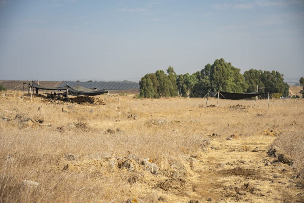 חפירת רשות העתיקות בחיספין. צילום: יניב ברמן