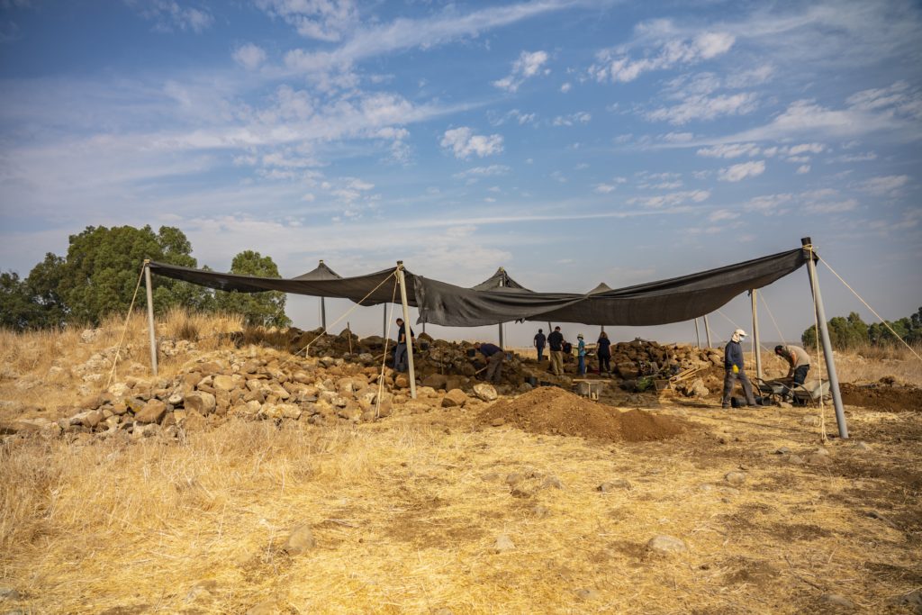 חפירת רשות העתיקות בחיספין. צילום: יניב ברמן