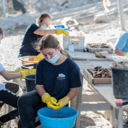 חניכות המכינה הצבאית בית הראל בעת שטיפת ממצאים בחפירה הארכיאולוגית. צילום: יולי שוורץ