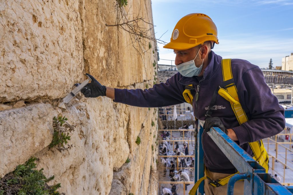 מזריקים לאבני הכותל חומר לשמירת חוסנו - צילום: יניב ברמן