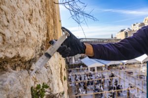 מזריקים לאבני הכותל חומר לשמירת חוסנו - צילום: יניב ברמן