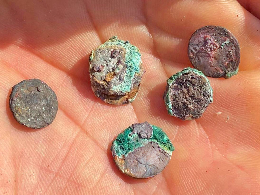 המטבעות העתיקים מחוף הבונים - צילום: אופיר חייט