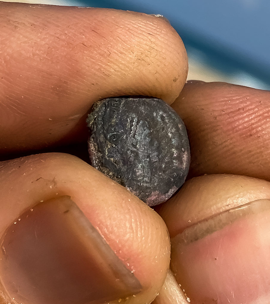 אחד מהמטבעות העתיקים שנמצאו בחוף הבונים - צילום: אופיר חייט