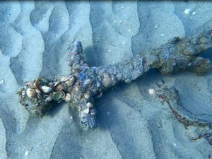 החרב שנמצאה מול חוף הכרמל - צילום: שלומי קצין