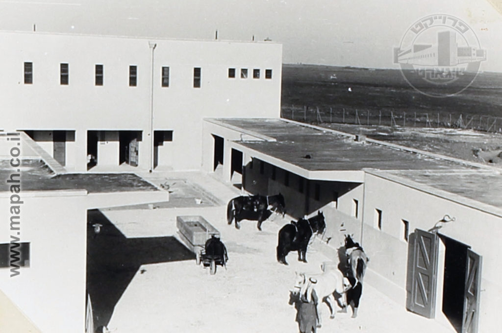סוסי המשטרה הרכובה במשטרת קטרה 1940 - הבלוק הדרומי של משטרת קטרה - - ארכיון: אוטו הופמן - באדיבות הספרייה הלאומית