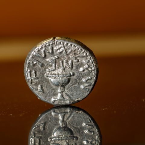 מטבע הכסף ועליו גביע עם הכיתוב: "שקל ישראל" והאותיות: ש"ב (שנה ב' למרד). צילום: אליהו ינאי