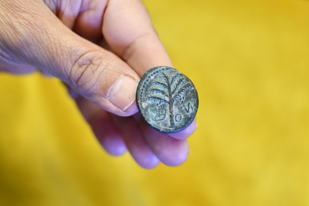 מטבע שמעון מנהיג מרד בר כוכבא. צילום יולי שוורץ רשות העתיקות
