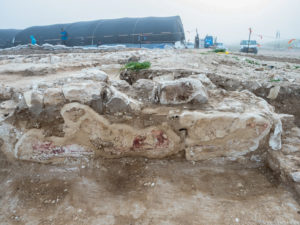 עיטורי קיר באחוזה מהתקופה המוסלמית הקדומה. צילום אסף פרץ