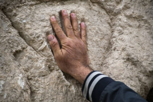 היד שנחצבה בקיר החפיר. צילום יולי שוורץ