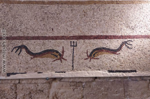 חלק מפסיפס הדולפינים אשר נמצא בתל דור - צילום: מורן יונה אליאן
