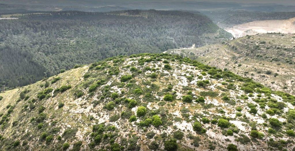 גבעת הקרב בשפלת יהודה. צילום איל מרקו