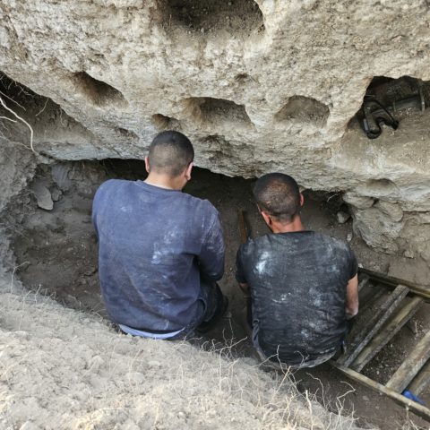 החשודים בעת המעצר. צילום ניר דיסטלפלד