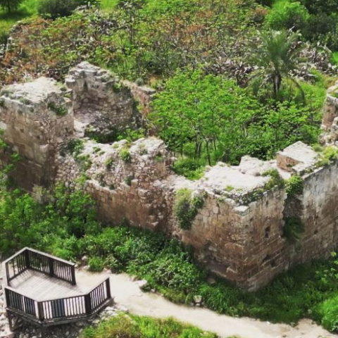 חזית מבצר קקון בעמק חפר - צילום: אפי אליאן