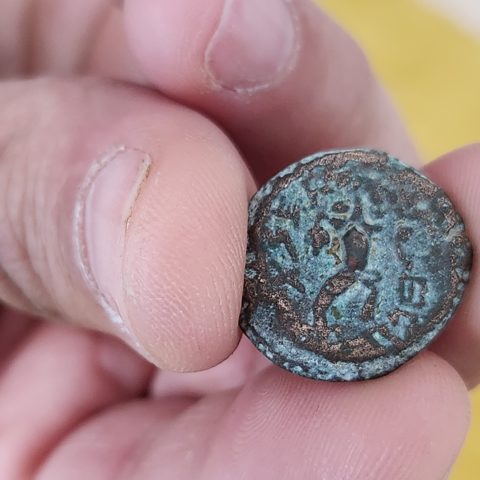 מטבע מתיתיה אנטיגונוס שנתפס במזרח ירושלים. צילום יולי שוורץ רשות העתיקות