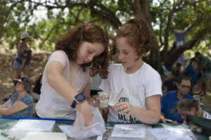 פעילות רשות העתיקות. צילום יניב ברמן רשות העתיקות.